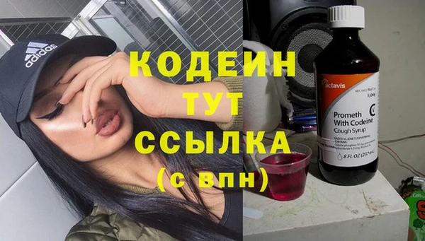 стаф Арсеньев