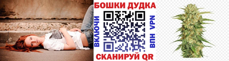 Бошки Шишки OG Kush  дарк нет клад  Вихоревка 